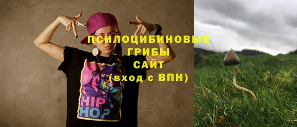 соль ск Вязьма