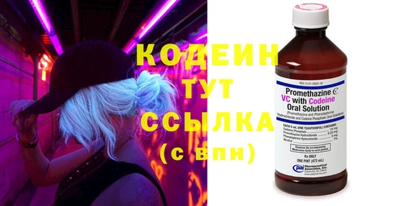 скорость Вяземский