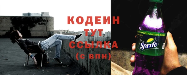 скорость Вяземский