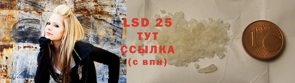 скорость Вяземский