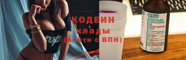 скорость Вяземский