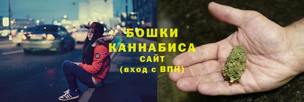 скорость Вяземский