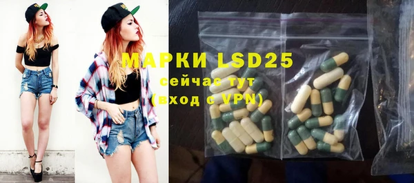 скорость Вяземский