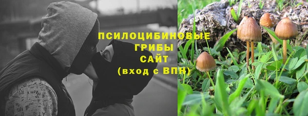 скорость Вяземский