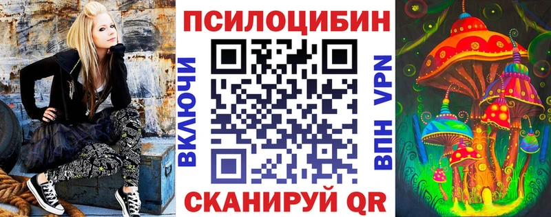 Псилоцибиновые грибы Psilocybine cubensis  закладки  Ипатово 