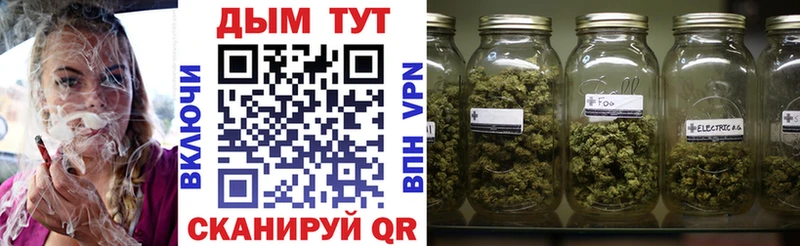 Каннабис план  Ипатово 